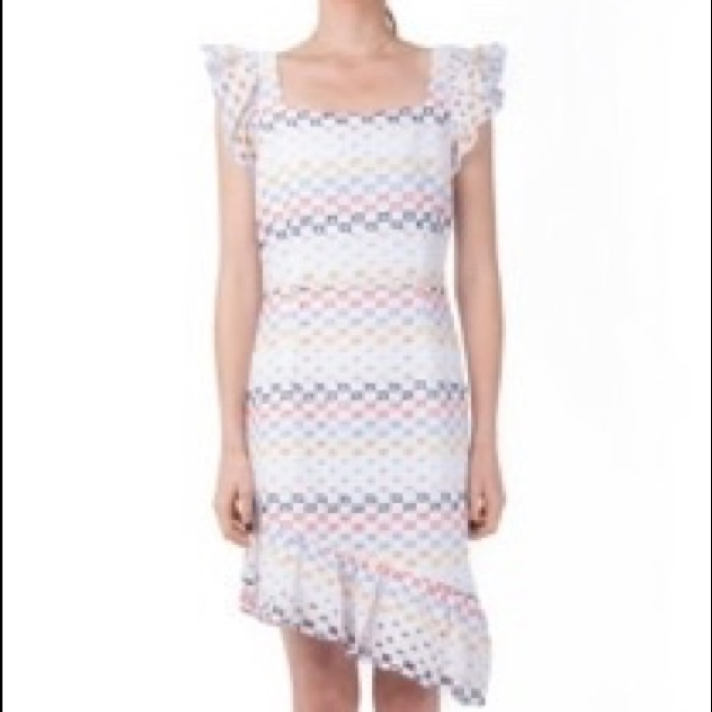 Waverly Grey Multi colored Eyelit dress